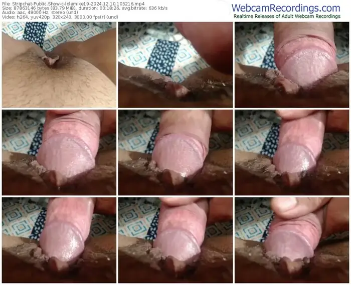 2024/12/10/stripchat-lolamike19-10-52-16
