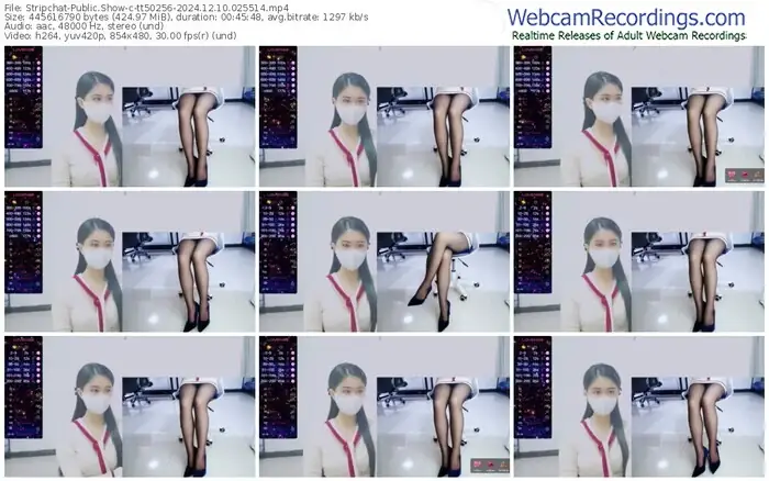 2024/12/10/stripchat-tt50256-02-55-14