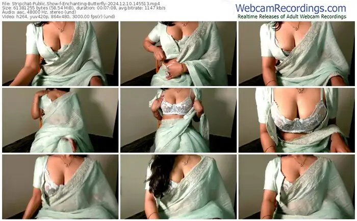 2024/12/10/stripchat-enchanting-butterfly-14-55-13