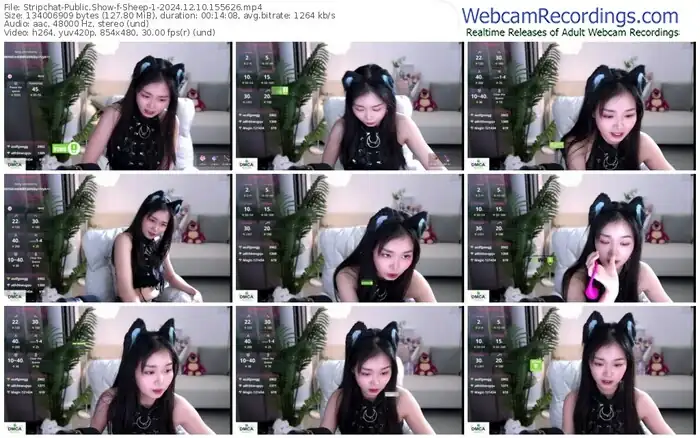 2024/12/10/stripchat-sheep-1-15-56-26