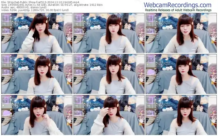 2024/12/10/stripchat-a0513-19-42-45