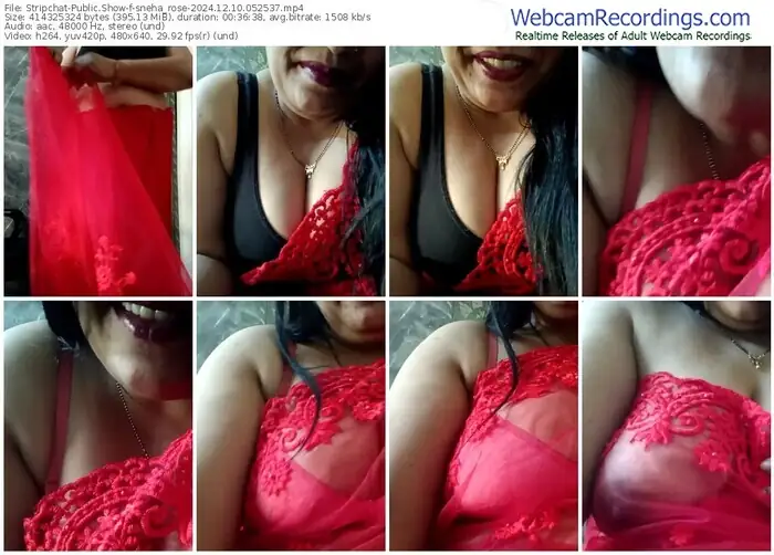 2024/12/10/stripchat-sneha_rose-05-25-37