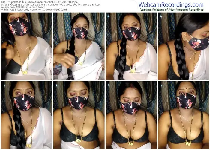 2024/12/10/stripchat-vani-09-20-13-34