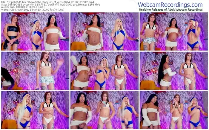 2024/12/10/stripchat-the_babylon_of_girls-12-13-47