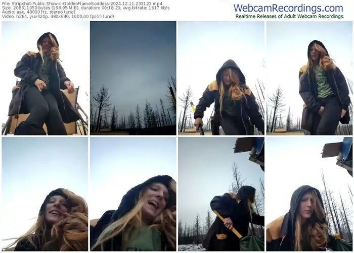 2024/12/11/stripchat-goldenflamegoddess-23-31-23