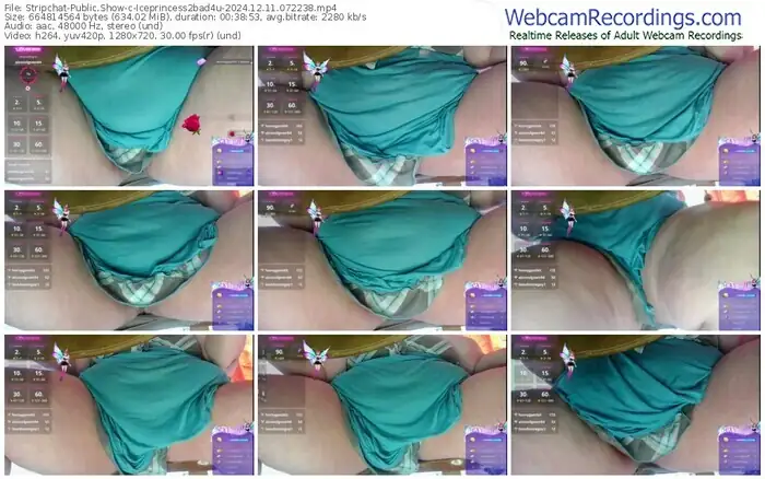 2024/12/11/stripchat-iceprincess2bad4u-07-22-38
