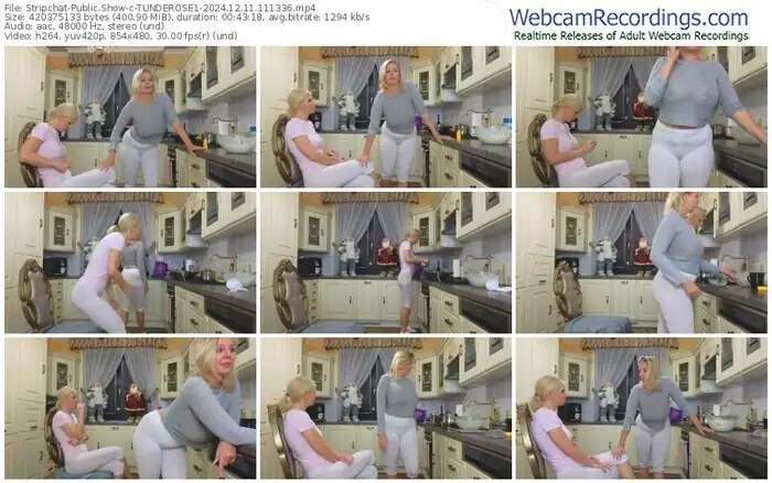 2024/12/11/stripchat-tunderose1-11-13-36