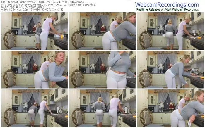 2024/12/11/stripchat-tunderose1-12-46-22