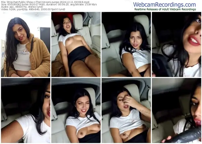 2024/12/11/stripchat-thecrimsonlounge-03-33-18