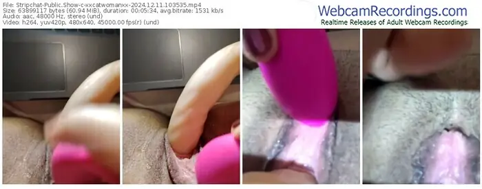 2024/12/11/stripchat-xxcatwomanxx-10-35-35