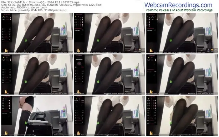 2024/12/11/stripchat---qq---08-57-53