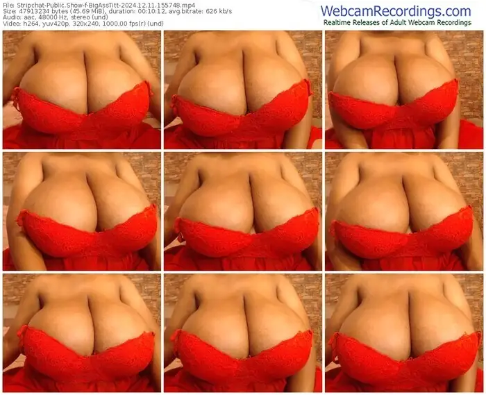 2024/12/11/stripchat-bigasstitt-15-57-48