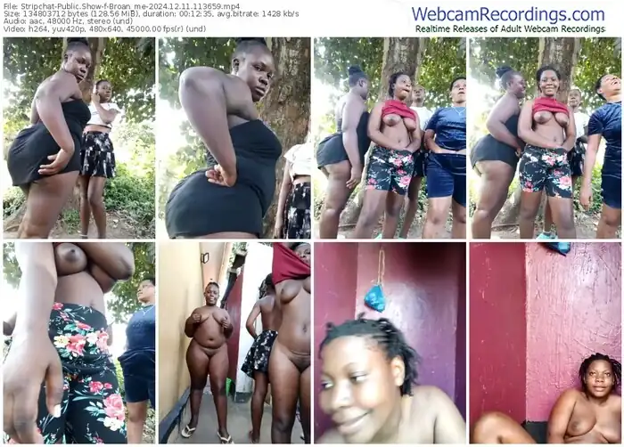 2024/12/11/stripchat-broan_me-11-36-59