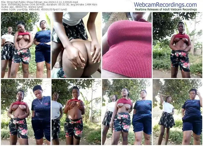 2024/12/11/stripchat-broan_me-12-39-20