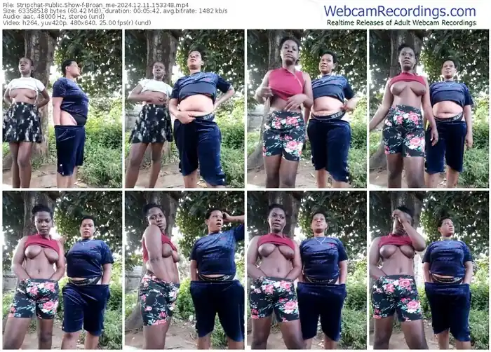 2024/12/11/stripchat-broan_me-15-33-48