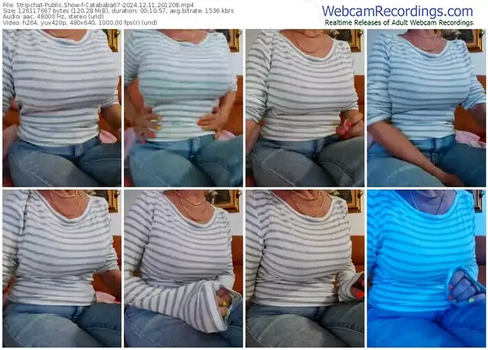 2024/12/11/stripchat-catababa67-20-12-08