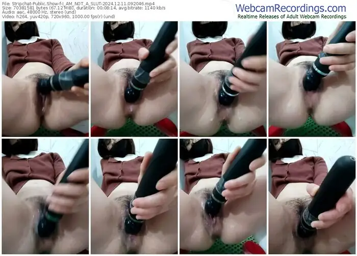 2024/12/11/stripchat-i_am_not_a_slut-09-20-46