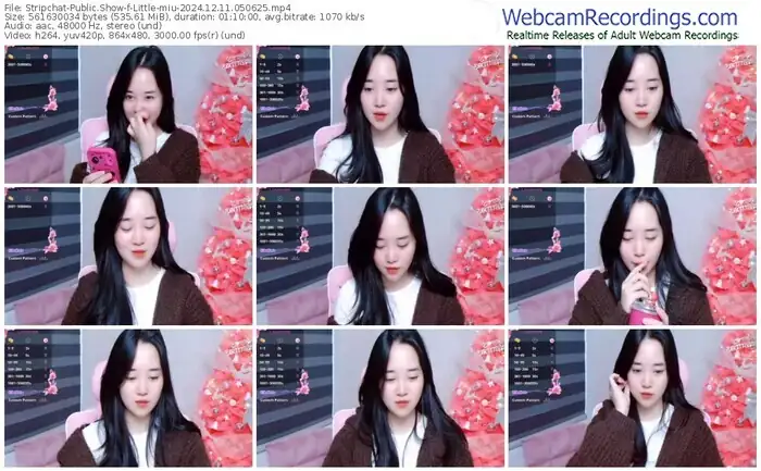 2024/12/11/stripchat-little-miu-05-06-25