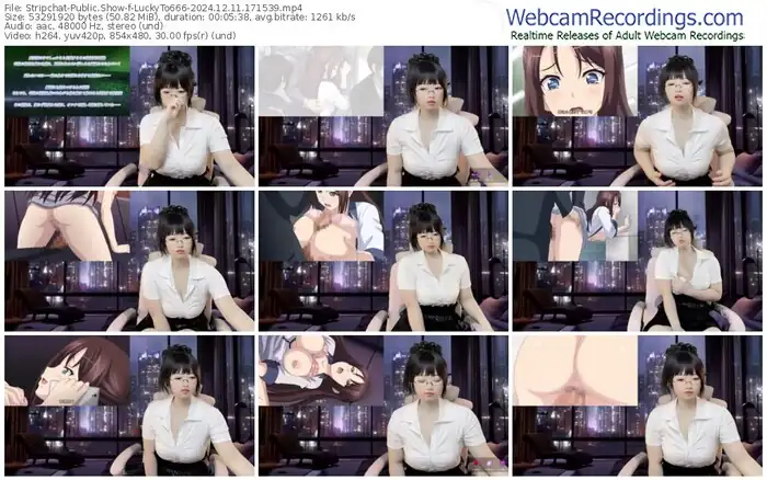 2024/12/11/stripchat-luckyto666-17-15-39