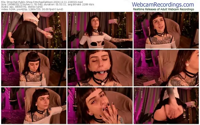 2024/12/11/stripchat-michaellamoon-22-40-19