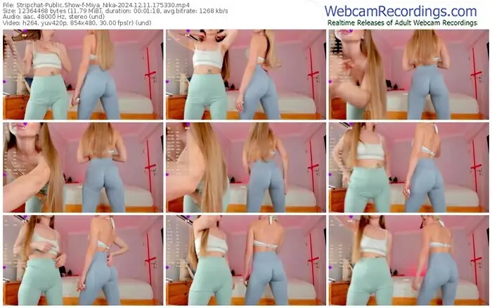2024/12/11/stripchat-miya_nika-17-53-30