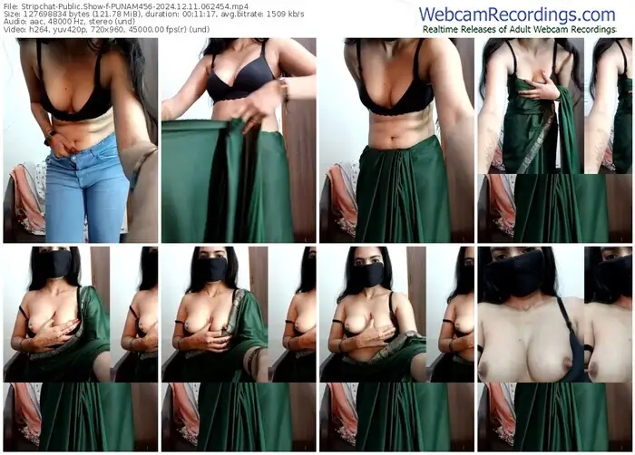 2024/12/11/stripchat-punam456-06-24-54