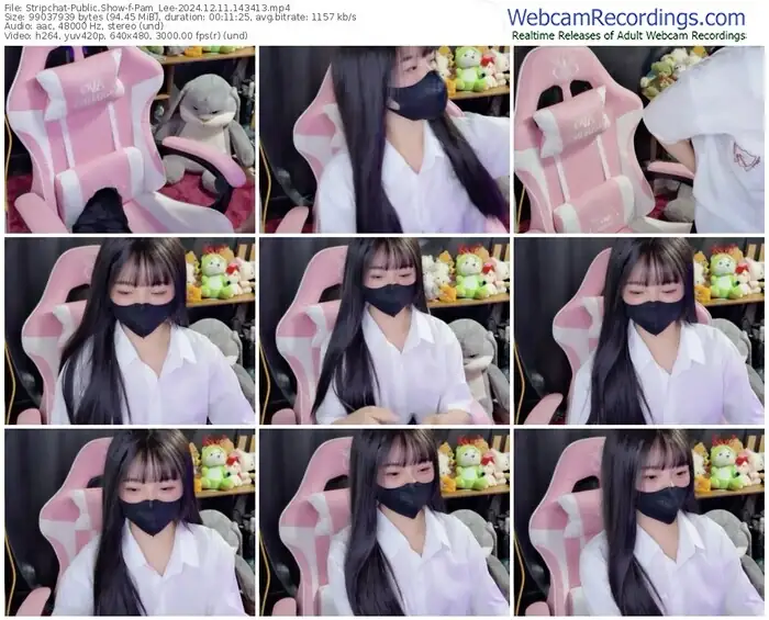 2024/12/11/stripchat-pam_lee-14-34-13