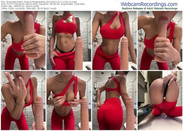 2024/12/11/stripchat-penelopehot_83-07-51-14