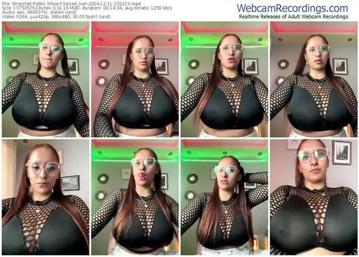 2024/12/11/stripchat-seized_lust-15-32-13