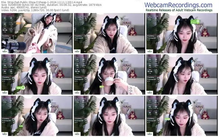 2024/12/11/stripchat-sheep-1-12-01-14