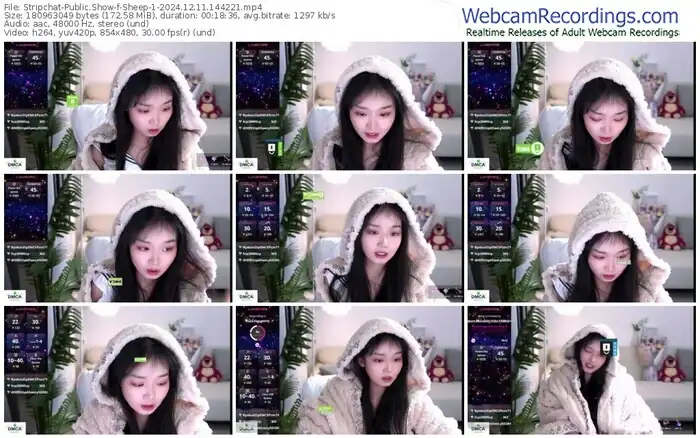 2024/12/11/stripchat-sheep-1-14-42-21