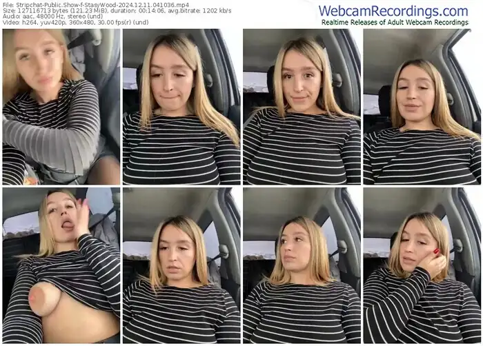 2024/12/11/stripchat-stasywood-04-10-36