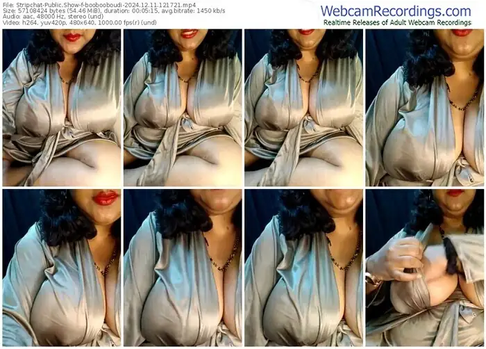 2024/12/11/stripchat-boobooboudi-12-17-21