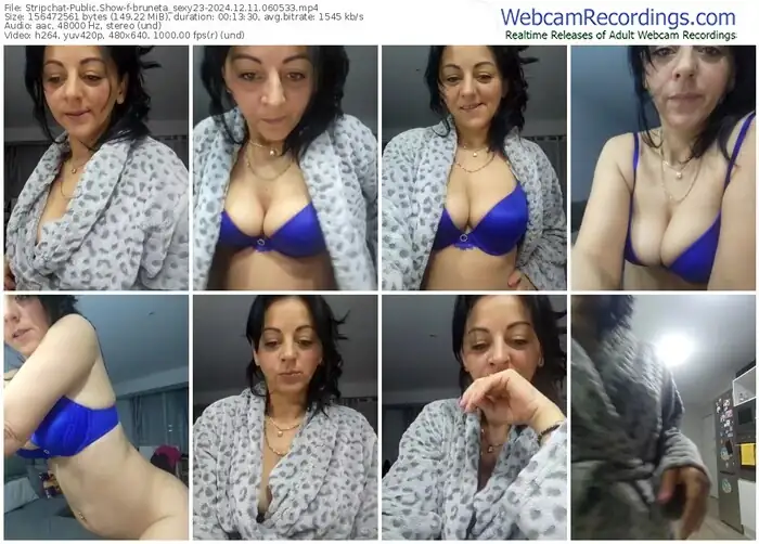 2024/12/11/stripchat-bruneta_sexy23-06-05-33