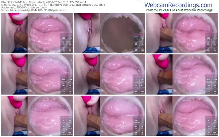 2024/12/11/stripchat-danigirl866-17-40-52