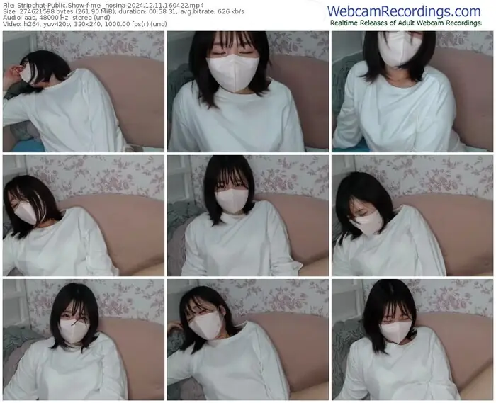 2024/12/11/stripchat-mei_hosina-16-04-22
