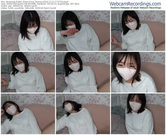 2024/12/11/stripchat-mei_hosina-17-27-30