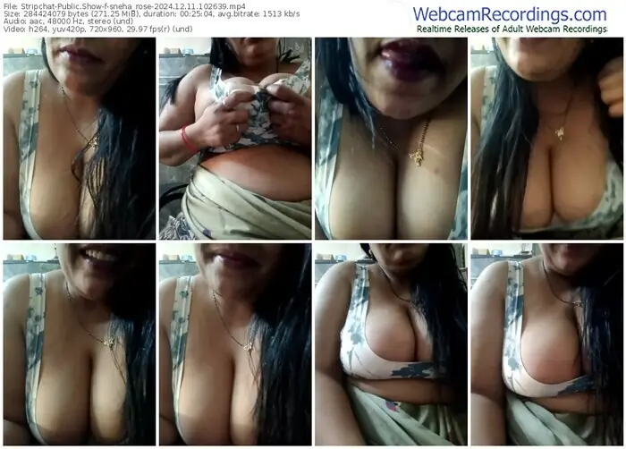 2024/12/11/stripchat-sneha_rose-10-26-39