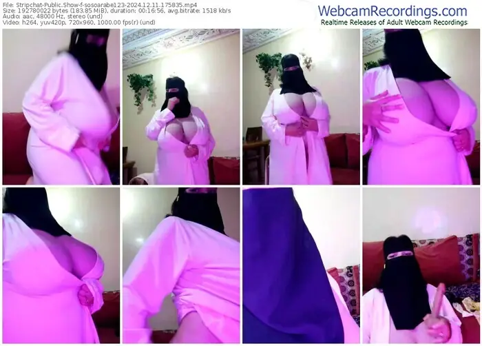 2024/12/11/stripchat-sosoarabe123-17-58-35
