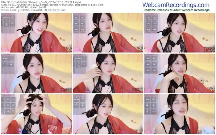 2024/12/11/stripchat-_o--o_-02-22-14