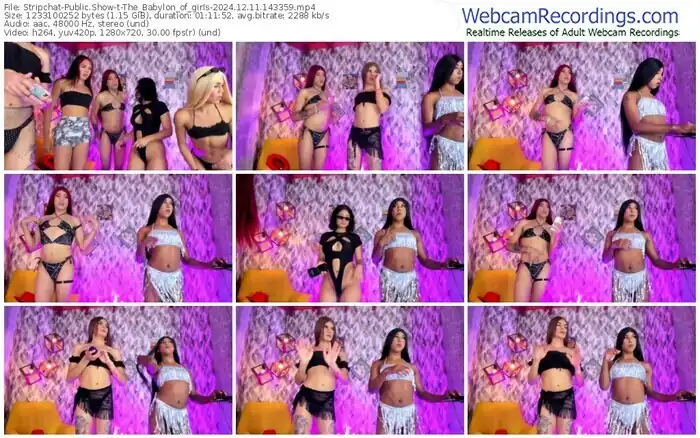 2024/12/11/stripchat-the_babylon_of_girls-14-33-59