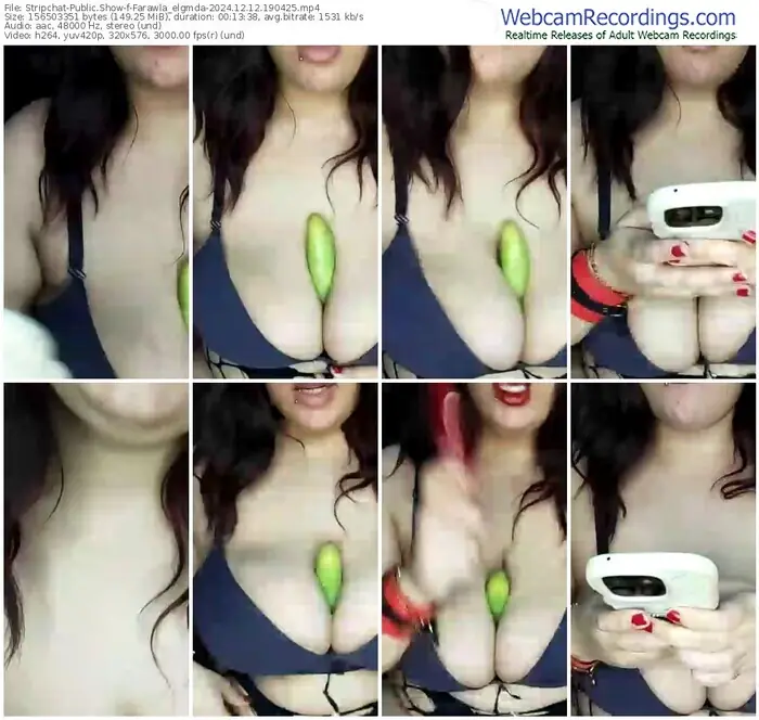 2024/12/12/stripchat-farawla_elgmda-19-04-25