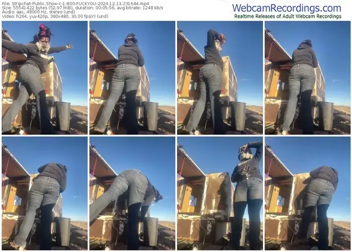 2024/12/13/stripchat-1-800-fuckyou-23-16-44