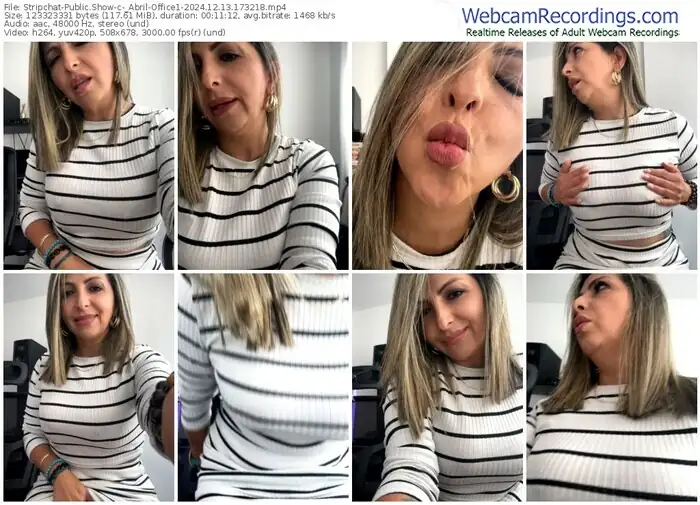 2024/12/13/stripchat-_abril-office1-17-32-18