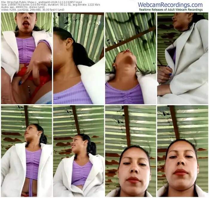 2024/12/13/stripchat-_andrea30-19-28-57