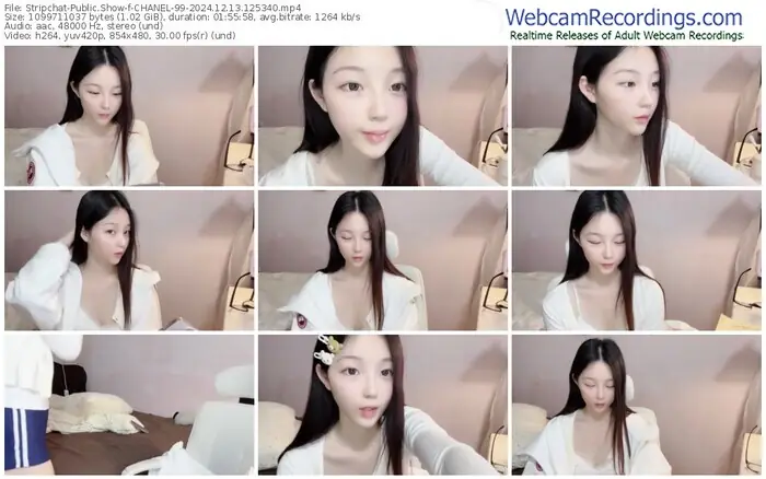 2024/12/13/stripchat-chanel-99-12-53-40