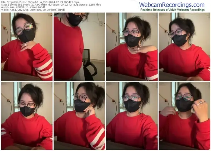 2024/12/13/stripchat-cua_2k3-10-54-29