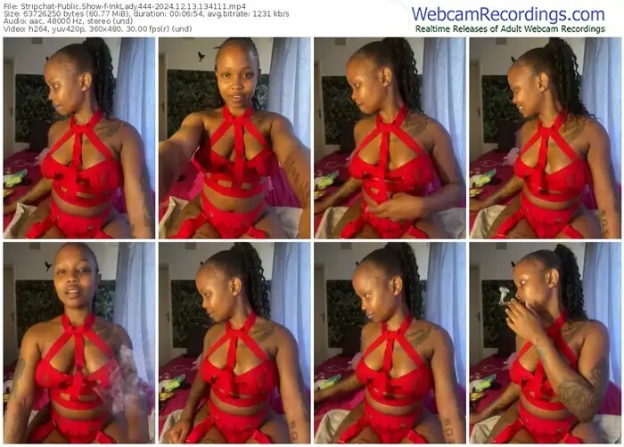 2024/12/13/stripchat-inklady444-13-41-11