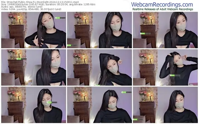 2024/12/13/stripchat-l-moonlight-15-00-11
