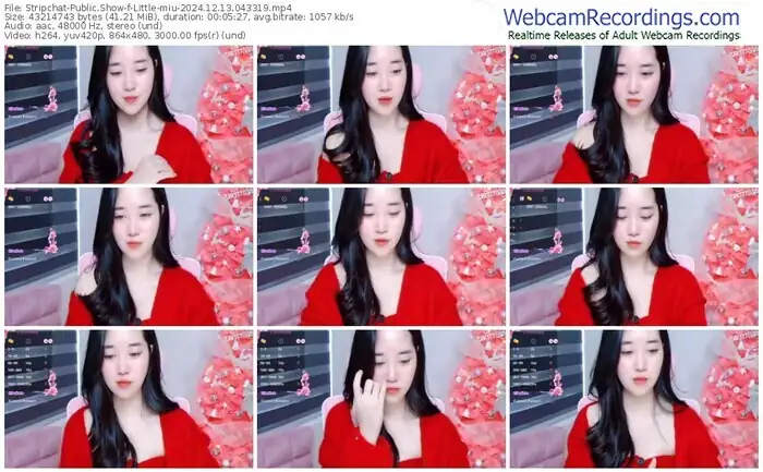 2024/12/13/stripchat-little-miu-04-33-19